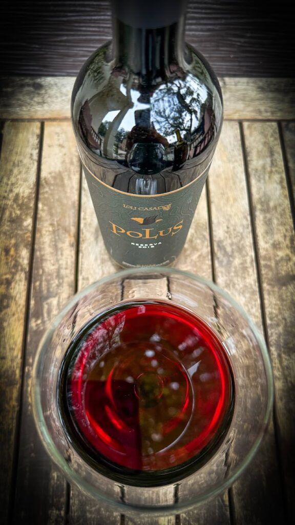Chato — bodegón de vino