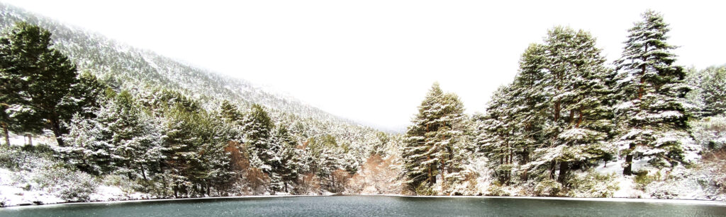 Sierra de Madrid — Agencia Lyra